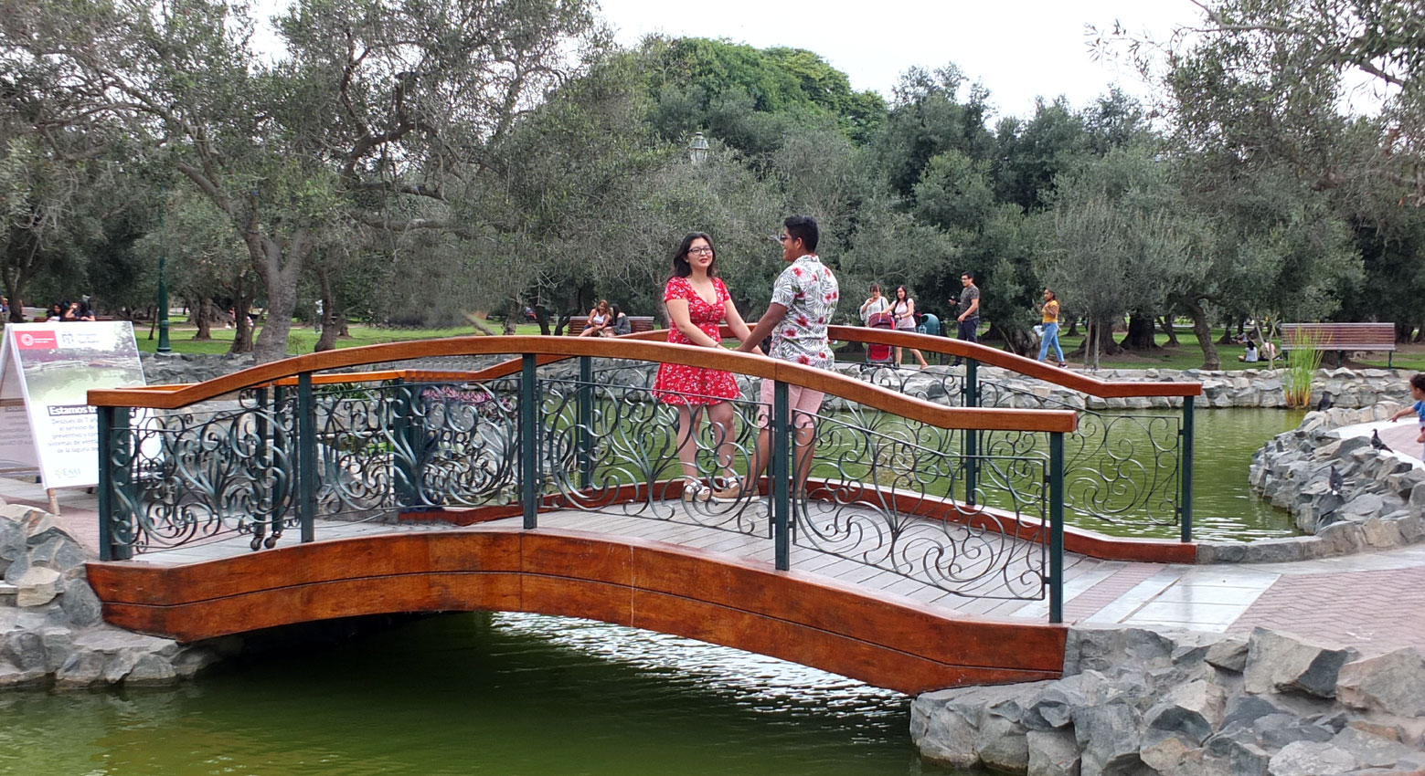 Sesión Enamorados en el Olivar