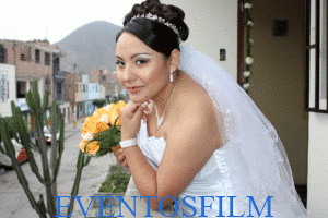 Fotógrafos profesionales de Boda